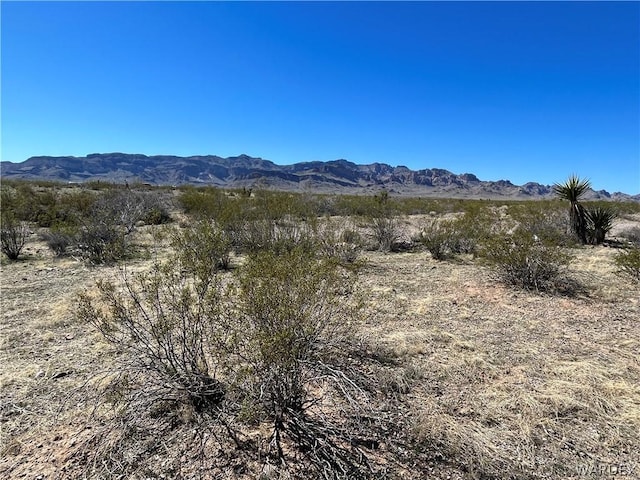 4692 S Spinel Rd, Golden Valley, AZ 86413 - photo 23