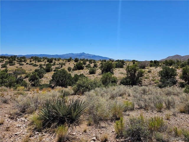 000 Austin Rd, Kingman, AZ 86401 - photo 4