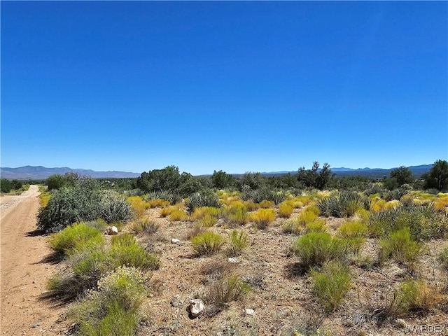 000 Austin Rd, Kingman, AZ 86401 - photo 16