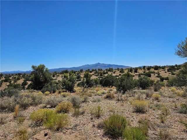 000 Austin Rd, Kingman, AZ 86401 - photo 9