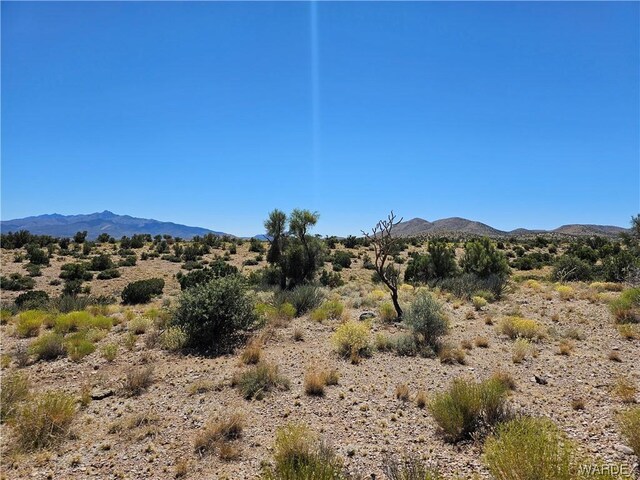000 Austin Rd, Kingman, AZ 86401 - photo 10