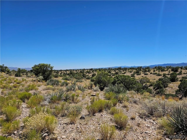 000 Austin Rd, Kingman, AZ 86401 - photo 5
