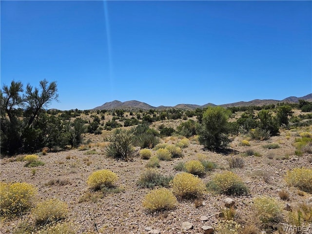 000 Austin Rd, Kingman, AZ 86401 - photo 8