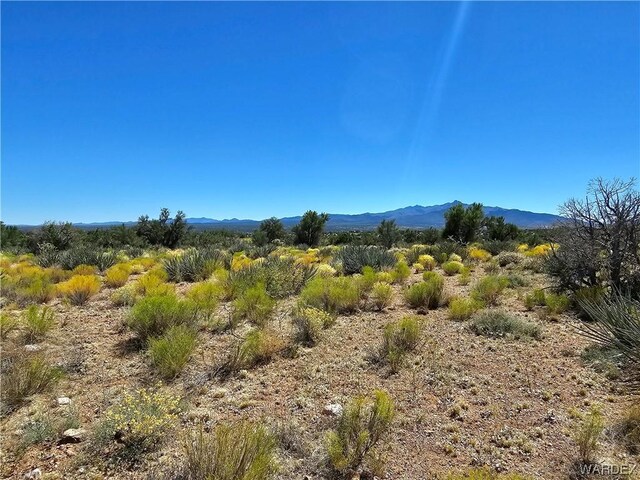 000 Austin Rd, Kingman, AZ 86401 - photo 14