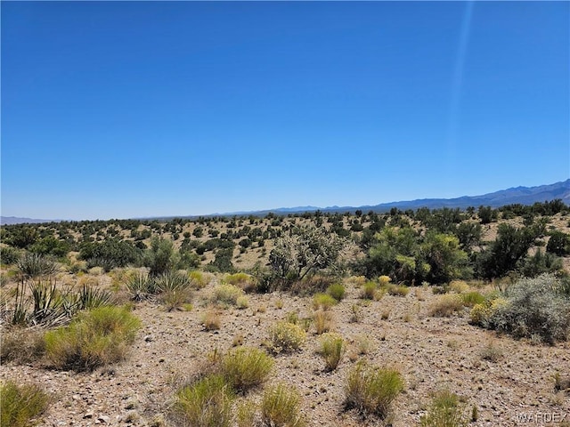 000 Austin Rd, Kingman, AZ 86401 - photo 11