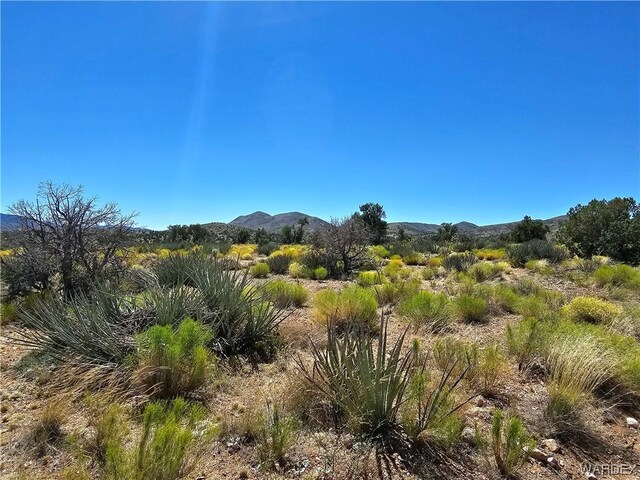 000 Austin Rd, Kingman, AZ 86401 - photo 15