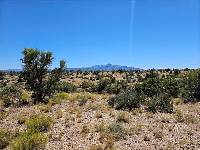 000 Austin Rd, Kingman, AZ 86401 - photo 6