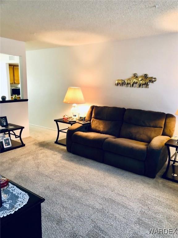 carpeted living area with a textured ceiling