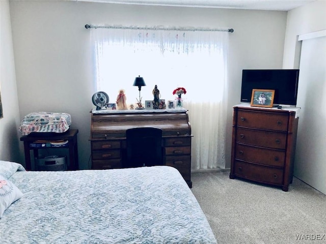 bedroom featuring carpet