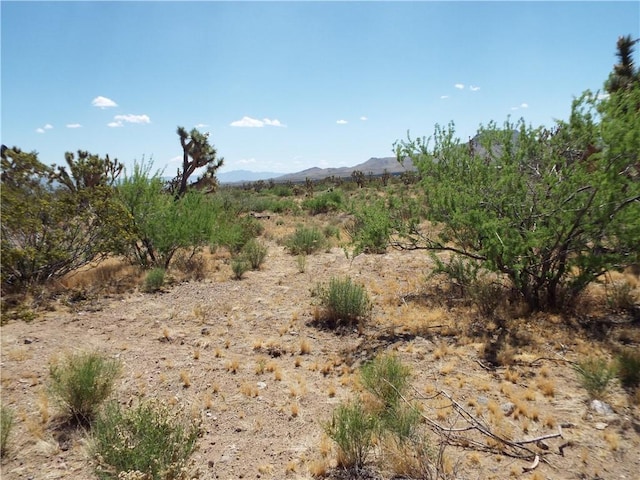 0000 N Laurel, Dolan Springs, AZ 86441