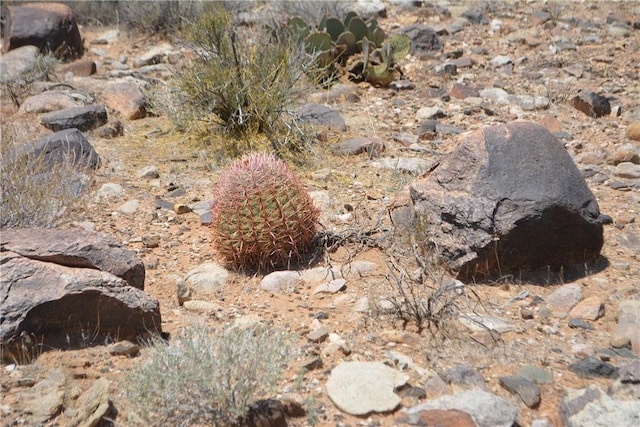 K6 Cameron Rd, Yucca, AZ 86438