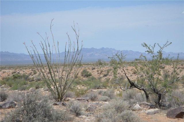 K6 Cameron Rd, Yucca, AZ 86438
