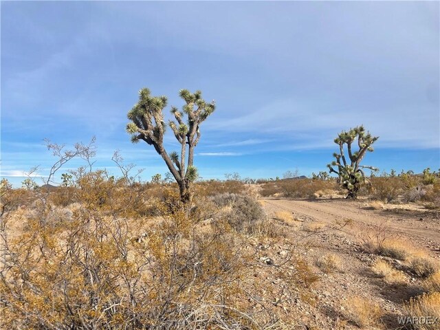 20565 N Wild Horse Dr, White Hills, AZ 86445 - photo 8