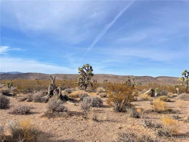 20565 N Wild Horse Dr, White Hills, AZ 86445 - photo 5