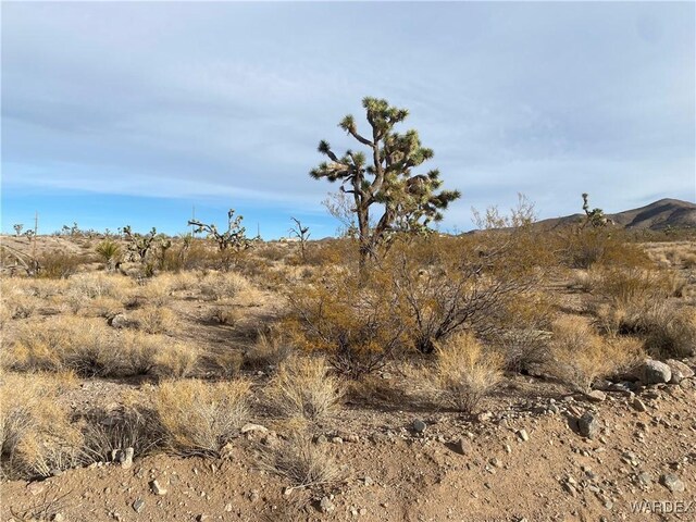 20565 N Wild Horse Dr, White Hills, AZ 86445 - photo 6