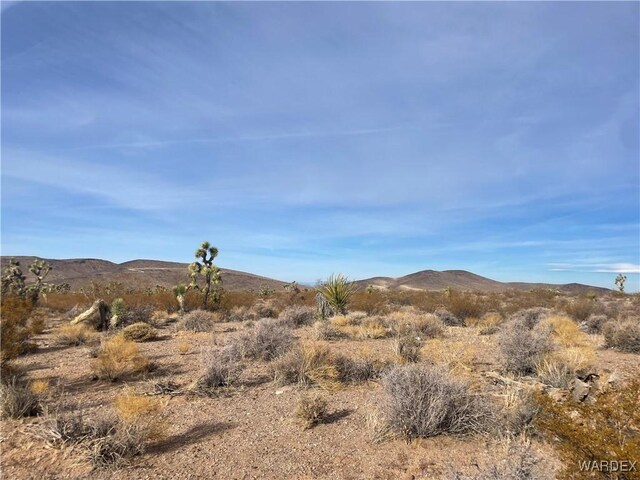 20565 N Wild Horse Dr, White Hills, AZ 86445 - photo 4