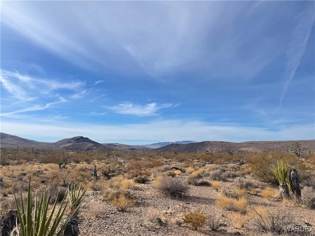 20565 N Wild Horse Dr, White Hills AZ, 86445 land for sale