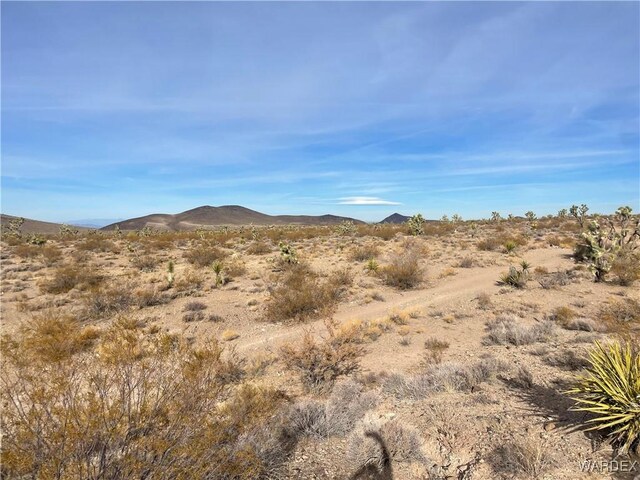 20565 N Wild Horse Dr, White Hills, AZ 86445 - photo 9