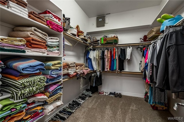 spacious closet featuring carpet floors