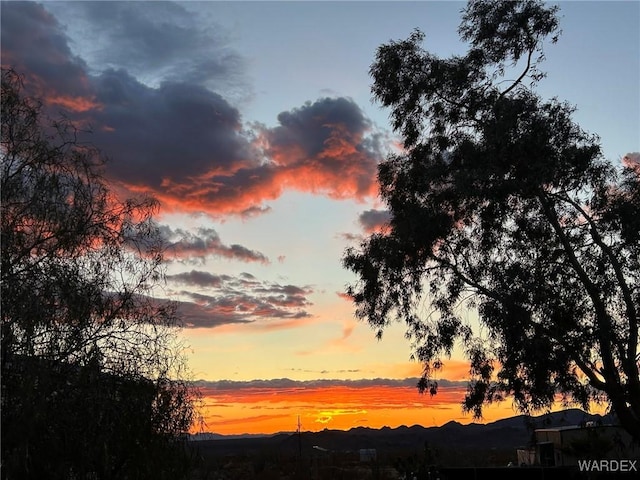 view of nature at dusk