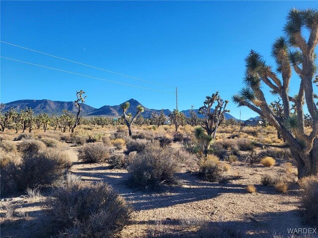 LOT279A N Driftwood Dr, Meadview AZ, 86444 land for sale