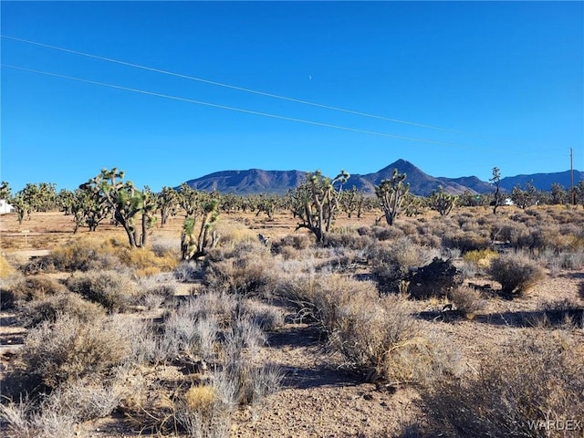 Listing photo 2 for LOT279A N Driftwood Dr, Meadview AZ 86444