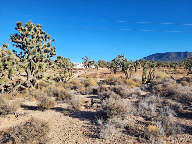 Listing photo 3 for LOT279A N Driftwood Dr, Meadview AZ 86444