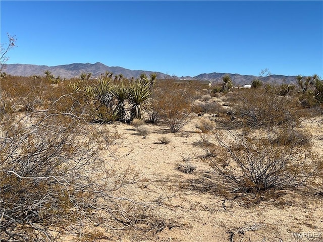 000 N Parker Rd, Golden Valley AZ, 86413 land for sale