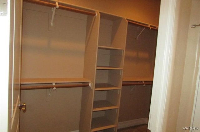 view of spacious closet