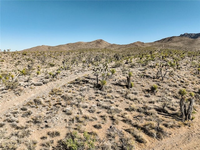 LOT110 N Sonora Rd, Dolan Springs, AZ 86441 - photo 11