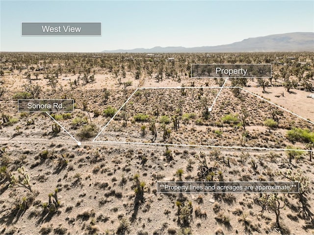 LOT110 N Sonora Rd, Dolan Springs, AZ 86441 - photo 3