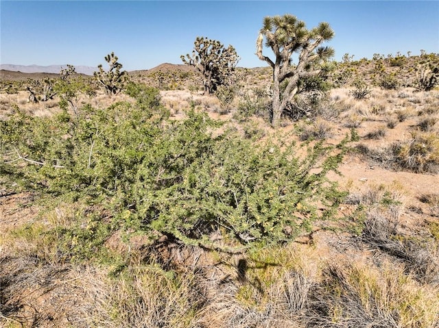 LOT110 N Sonora Rd, Dolan Springs, AZ 86441 - photo 12