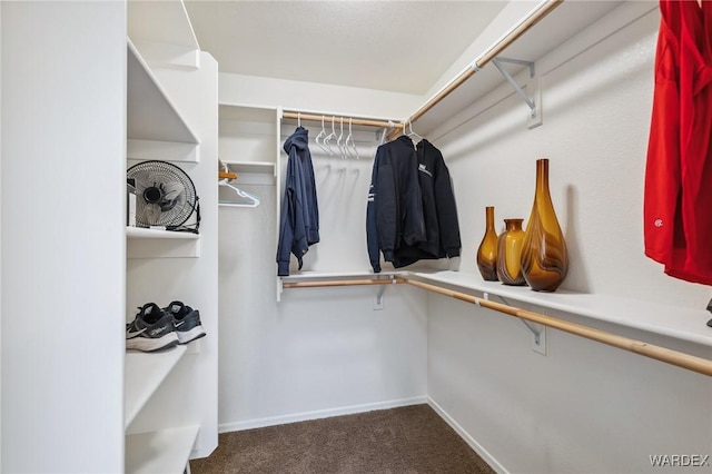 walk in closet featuring carpet flooring