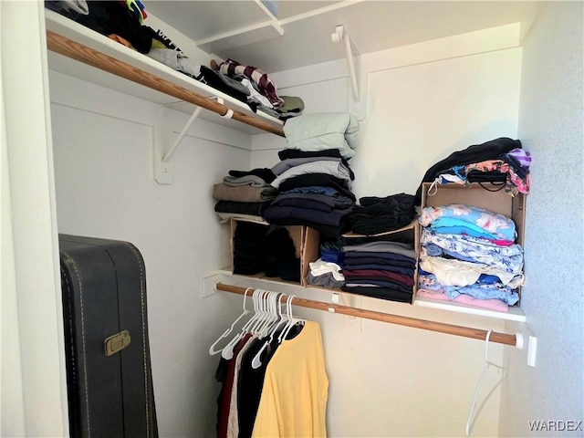view of spacious closet