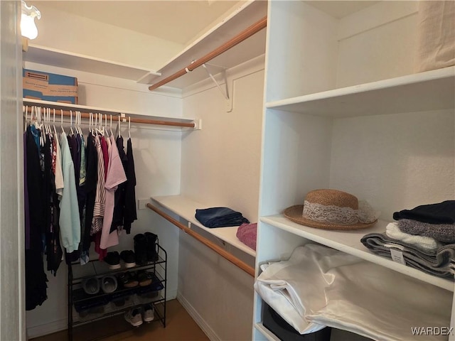 view of spacious closet