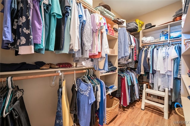 spacious closet featuring wood finished floors