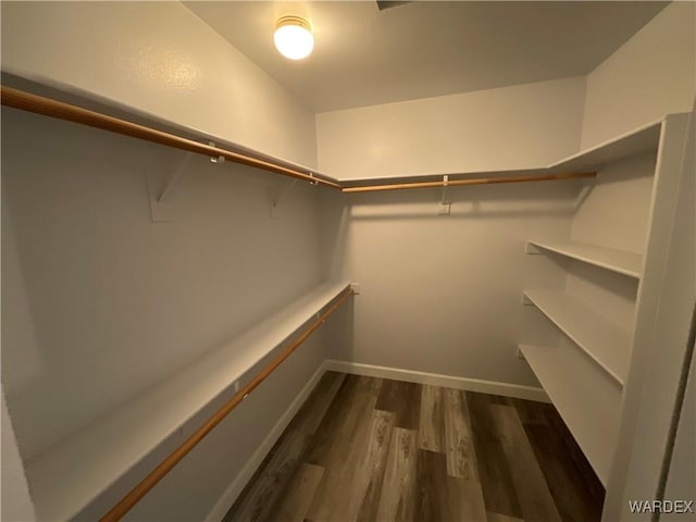 spacious closet featuring dark wood-style flooring