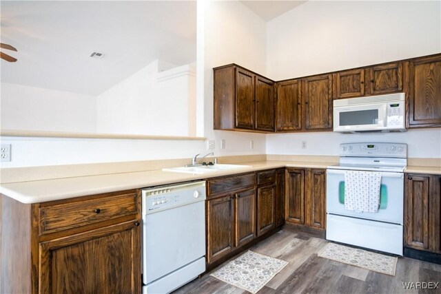 kitchen with dark brown cabinetry, white appliances, light countertops, light wood-style floors, and a sink