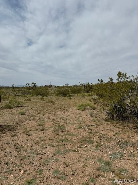 8255 Santa Cruz Dr, White Hills AZ, 86445 land for sale