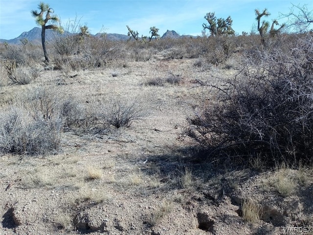 Listing photo 3 for PAR439 Tom Mix Rd, Yucca AZ 86438