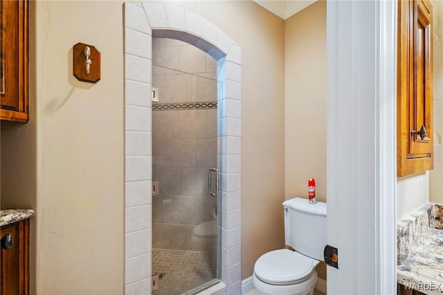 full bath featuring toilet, a shower stall, and vanity