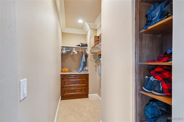 walk in closet with light colored carpet