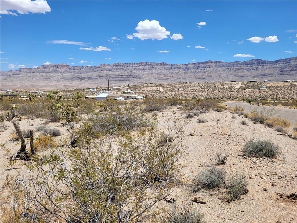 615 E Vulcan Dr, Meadview, AZ 86444 - photo 3