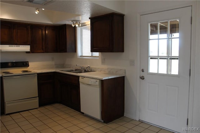 kitchen featuring white appliances, light countertops, a healthy amount of sunlight, under cabinet range hood, and a sink