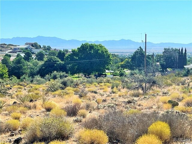 3957 N Harvard St, Kingman, AZ 86409 - photo 15