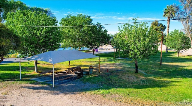7975 S Fox St, Mohave Valley, AZ 86440 - photo 4