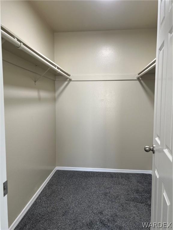 spacious closet featuring carpet