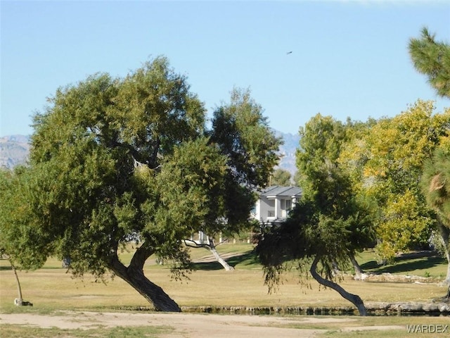 view of property's community with a lawn