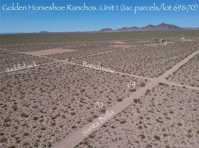 11321 W Santa Bella Dr, White Hills, AZ 86445 - photo 5