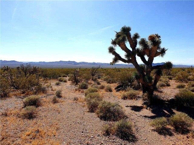 11321 W Santa Bella Dr, White Hills, AZ 86445 - photo 3